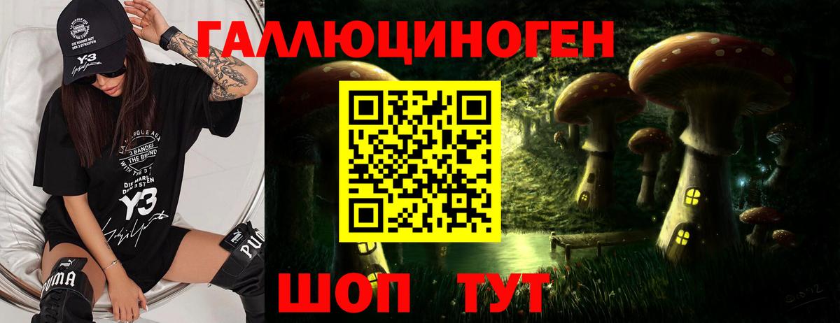 Псилоцибиновые грибы прущие грибы Орск